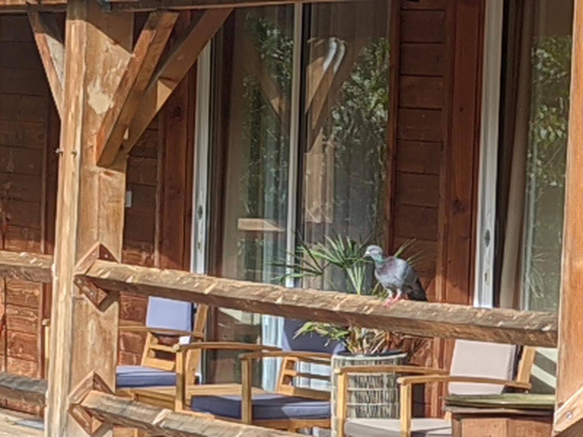 Source Nature Mas-d'Azil Habitación foto