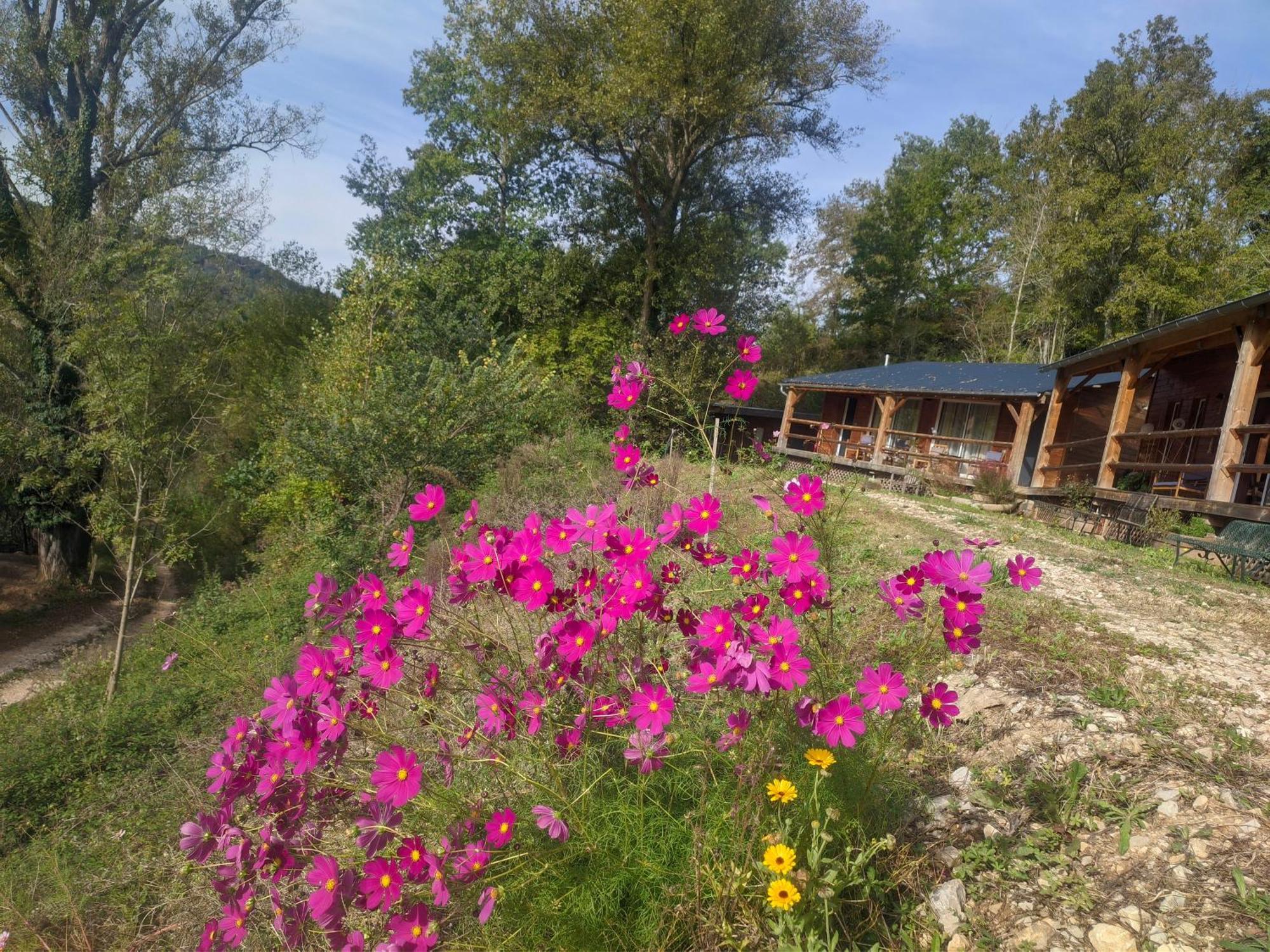 Source Nature Mas-d'Azil Habitación foto